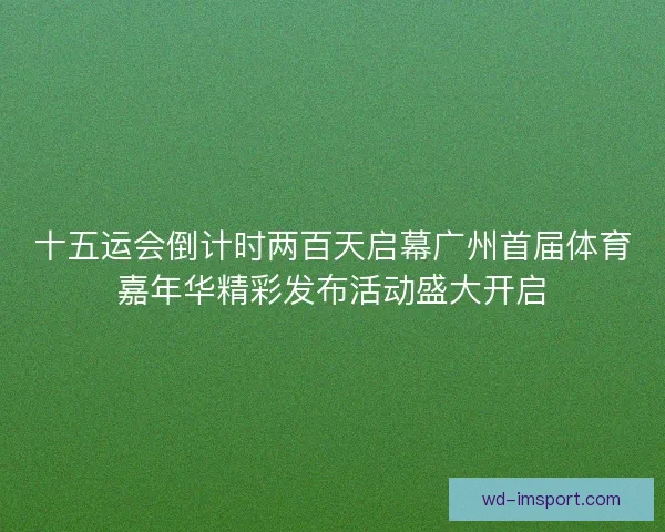 十五运会倒计时两百天启幕广州首届体育嘉年华精彩发布活动盛大开启 十五运会倒计时两百天启幕广州首届体育嘉年华精彩发布活动盛大开启